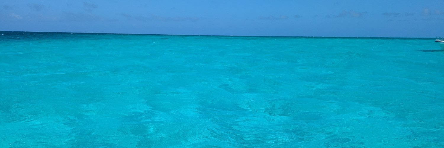 spazzaryou's profile banner image