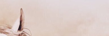 Sn__n9's profile banner image