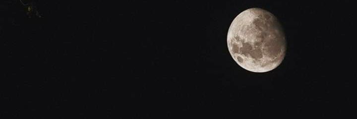 Alone banner