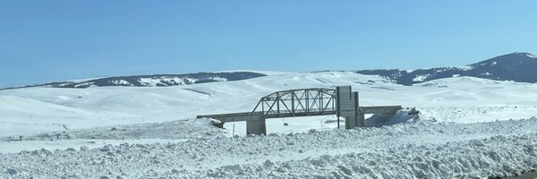 ShannonManess1 Profile Banner