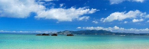 にゃん🍀 banner