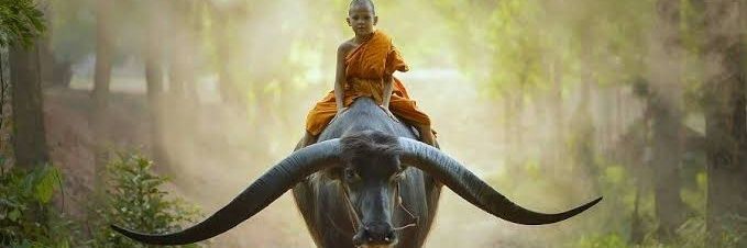 chaudharijayesh's profile banner image