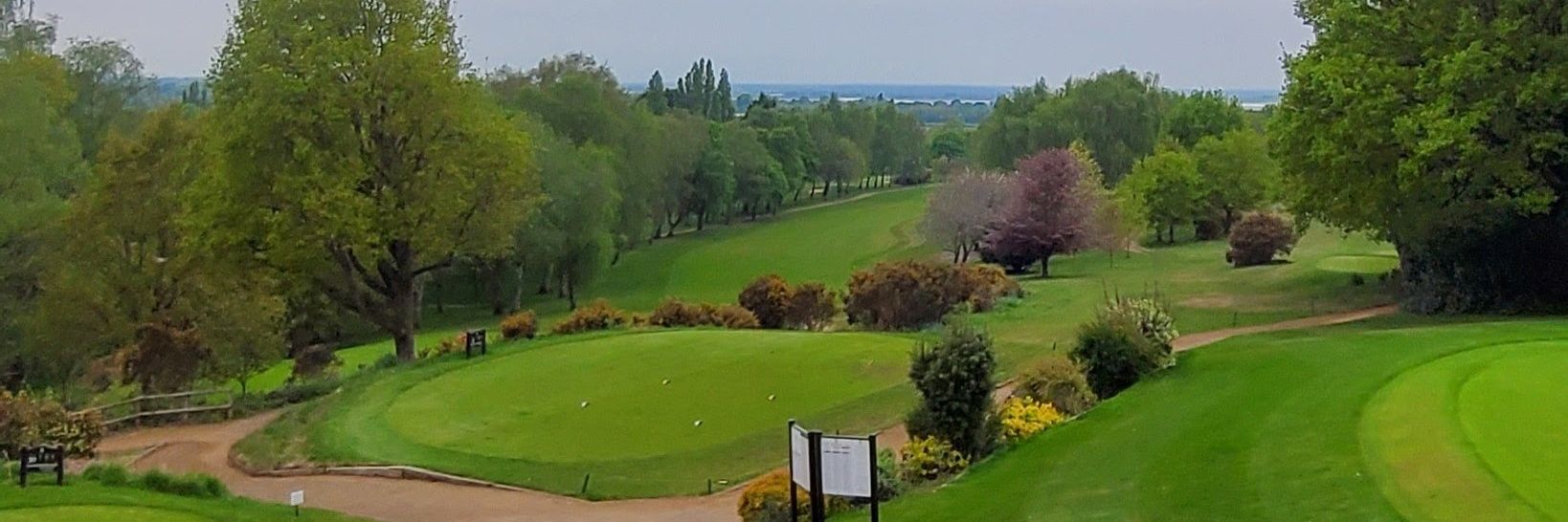 Toby Forbes 🇬🇧 banner