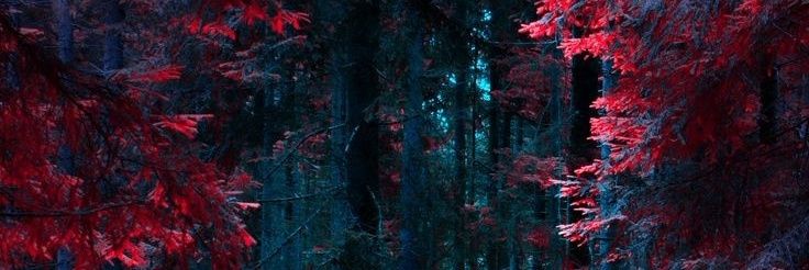 IreneArgali's profile banner image