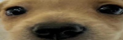 Matheus banner