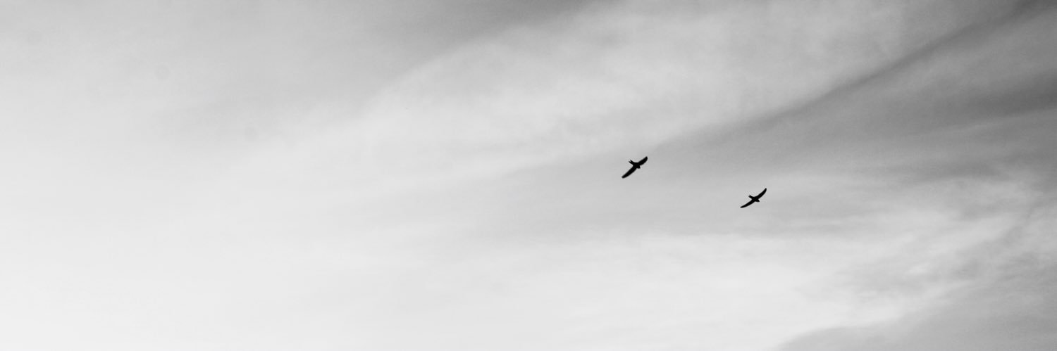 iremmatemde's profile banner image