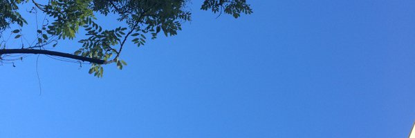 keisukehiguchi Profile Banner