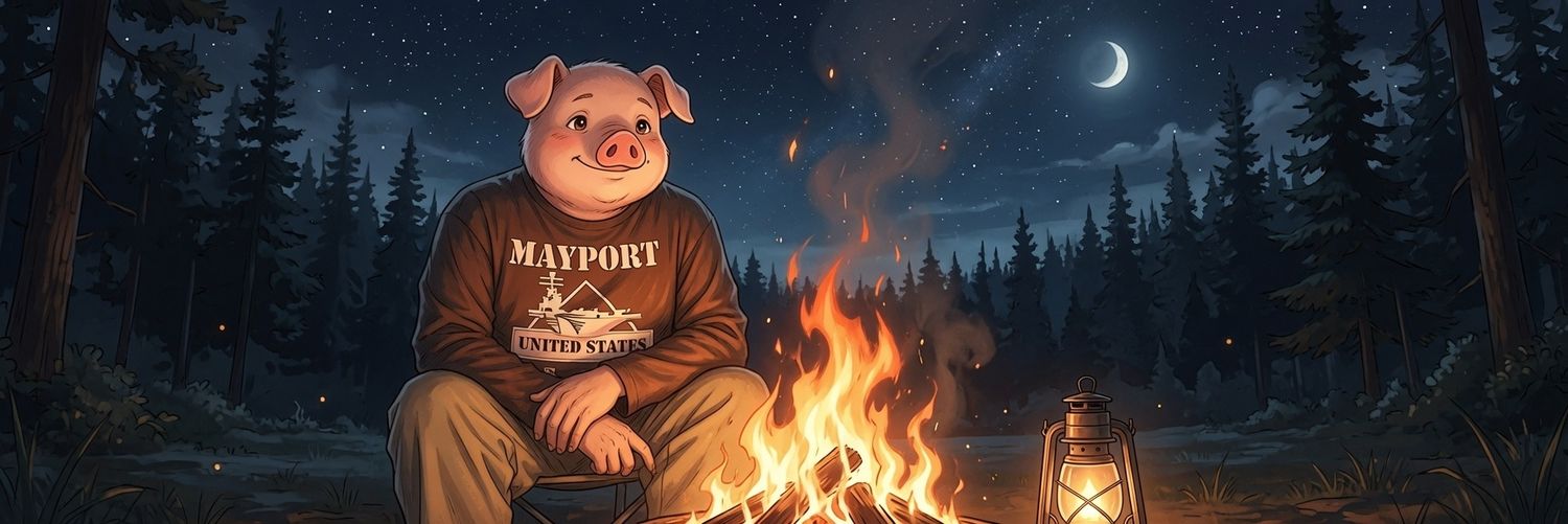 ZINevo's profile banner image