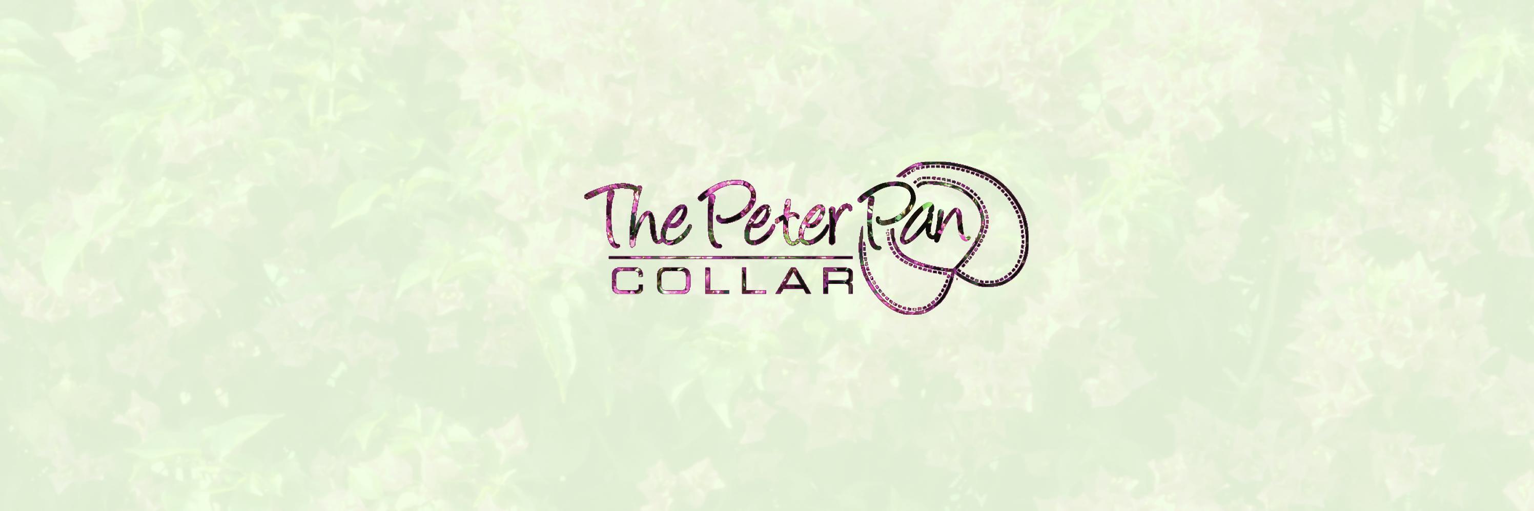 PeterPan_Collar's profile banner image