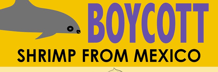 Eli Saddler @ Honu.Org banner