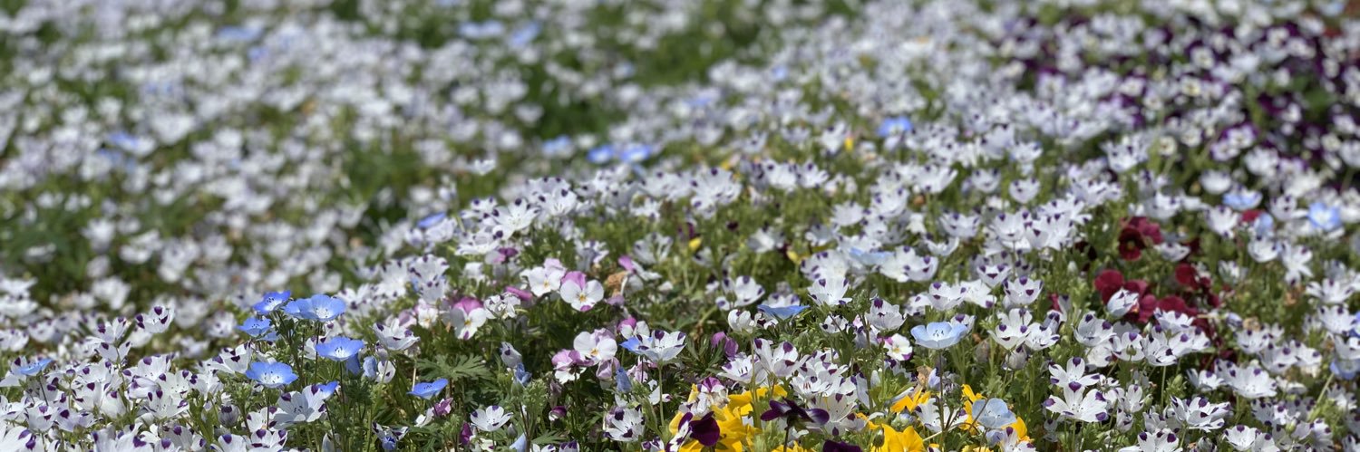 さとて@筋ジス（FSHD） banner