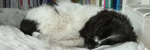 kuartillo Profile Banner