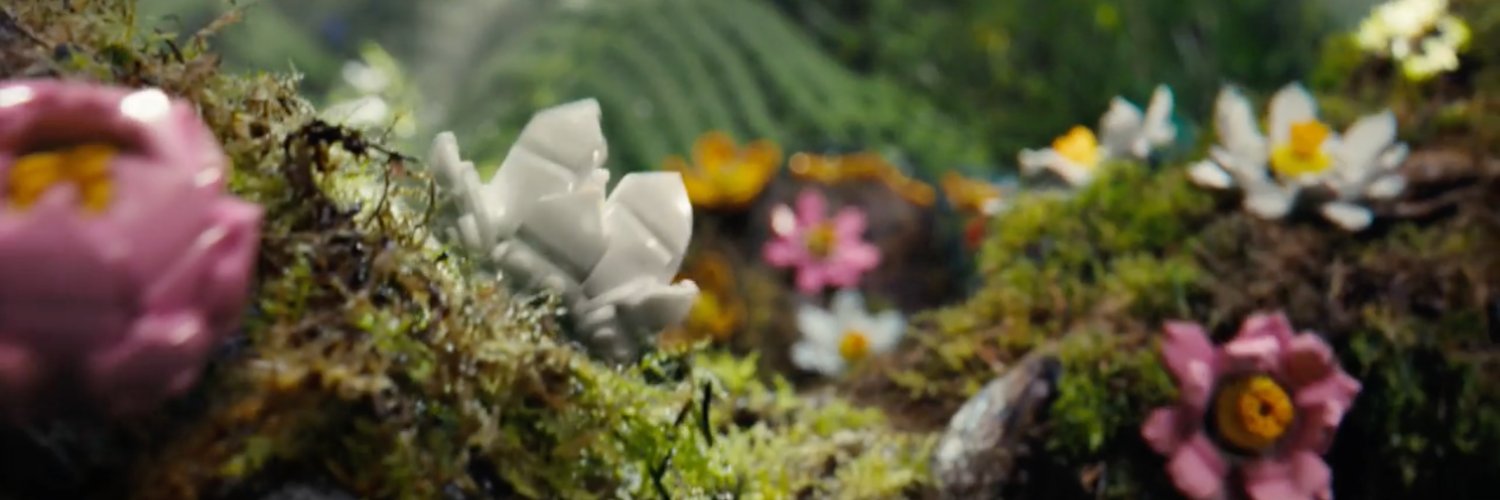 Jonny McGrath-Smith banner