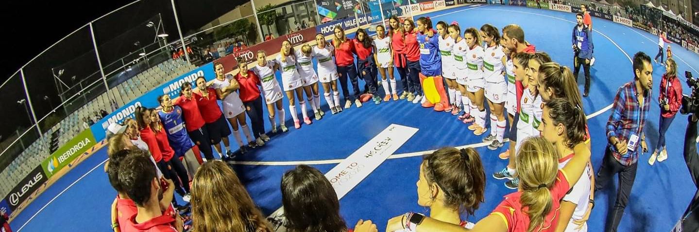 RedsticksHockeyFem banner