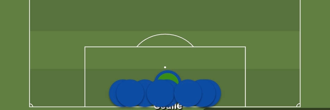 Chelsea Buscompany banner