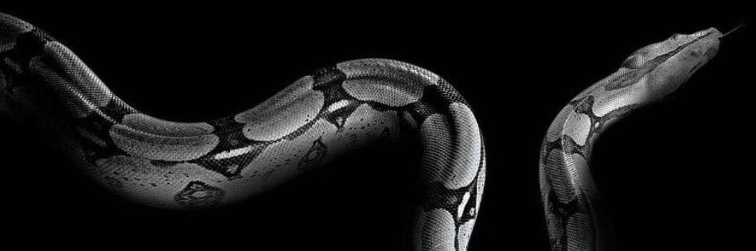 weeoti's profile banner image