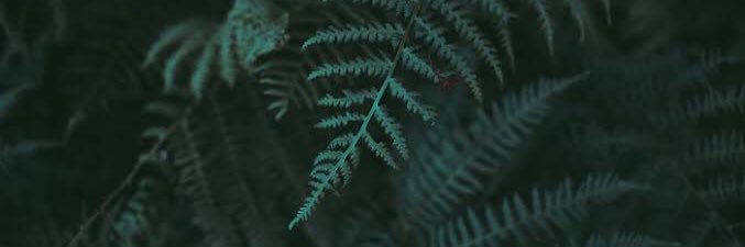 delmo_daryll's profile banner image