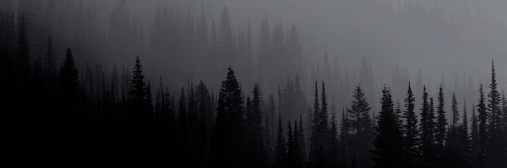ꅐꋬ꒒ꏂꏂꂟ banner