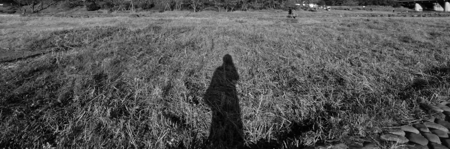 ℍ𝔸𝕃＠娘と猫と個人開発 banner