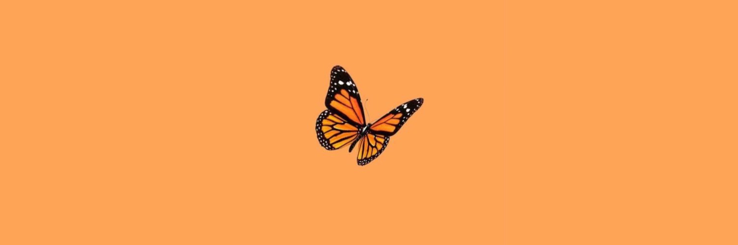 ‧₊˚ 𝑮𝒓𝒂𝒄𝒊𝒆 𓂃 ᥫ᭡ banner