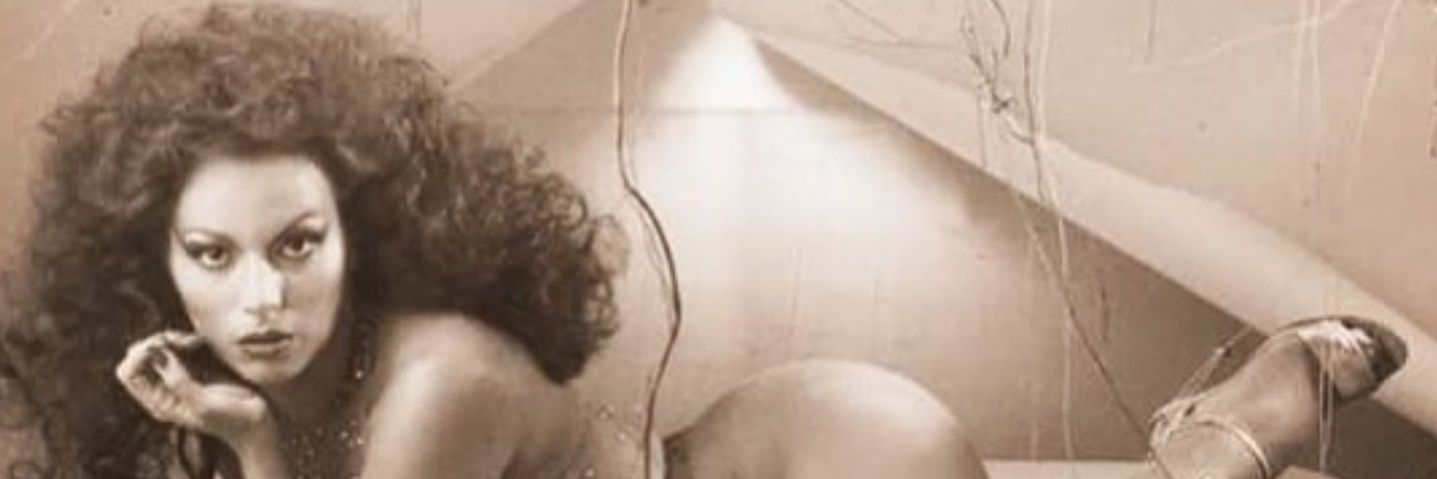 MBrando69's profile banner image