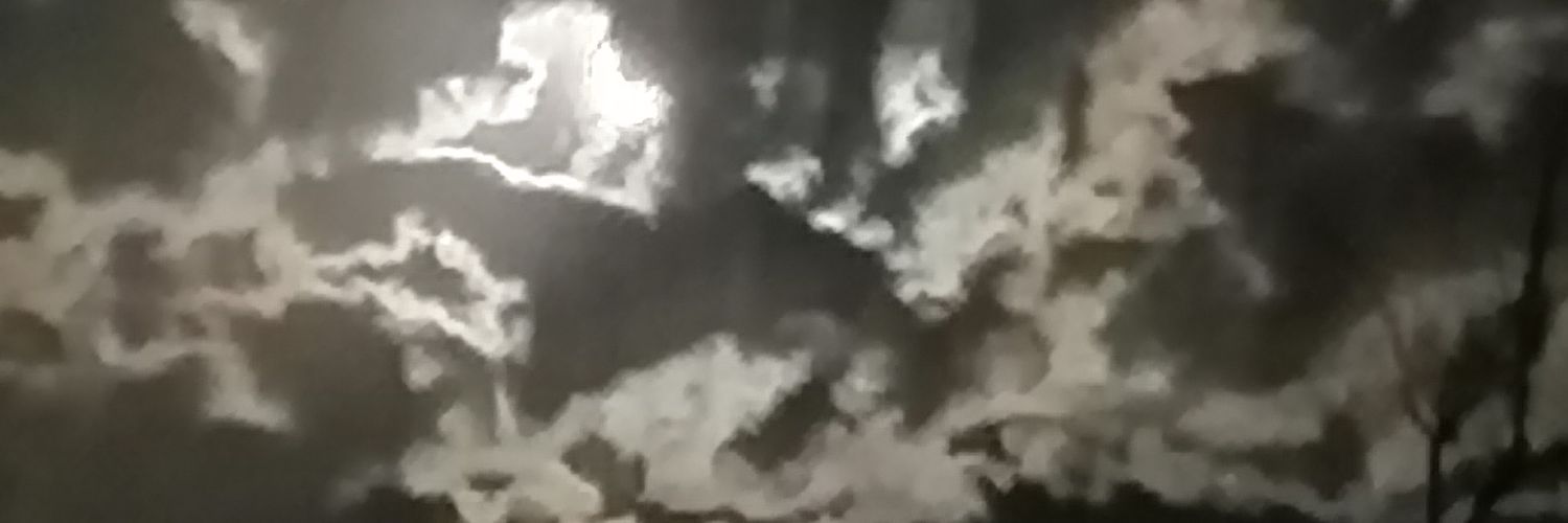 maritacarriel's profile banner image