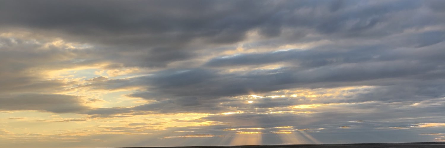 Steph_Noeller's profile banner image
