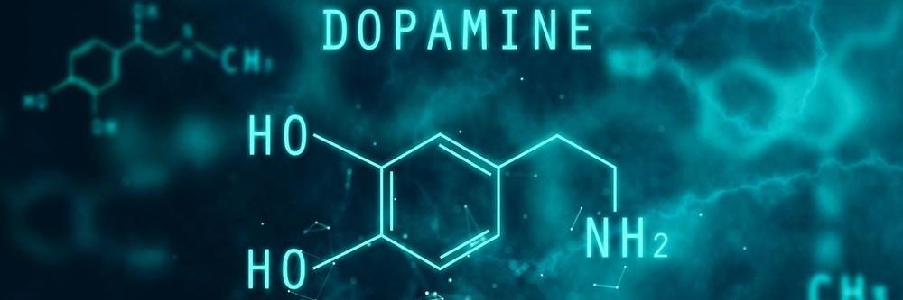 dofamínos 🧪 banner