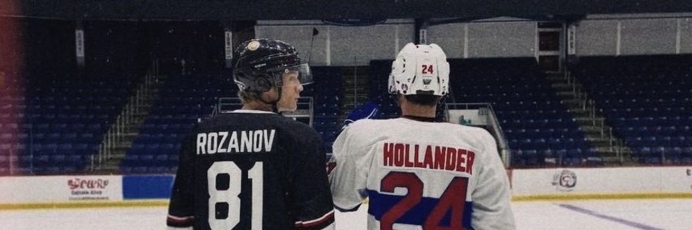 hollanov banner