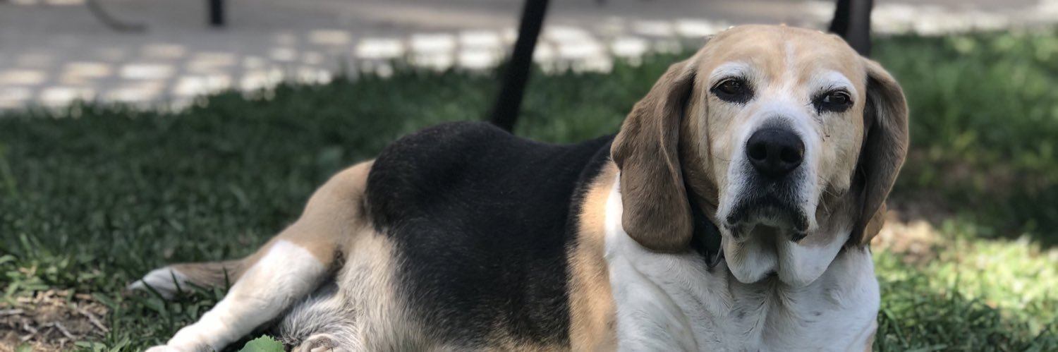 Faithie__13's profile banner image