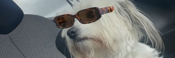 rminlol Profile Banner