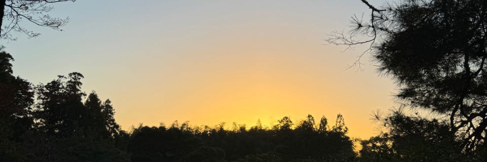 chyaaprl's profile banner image