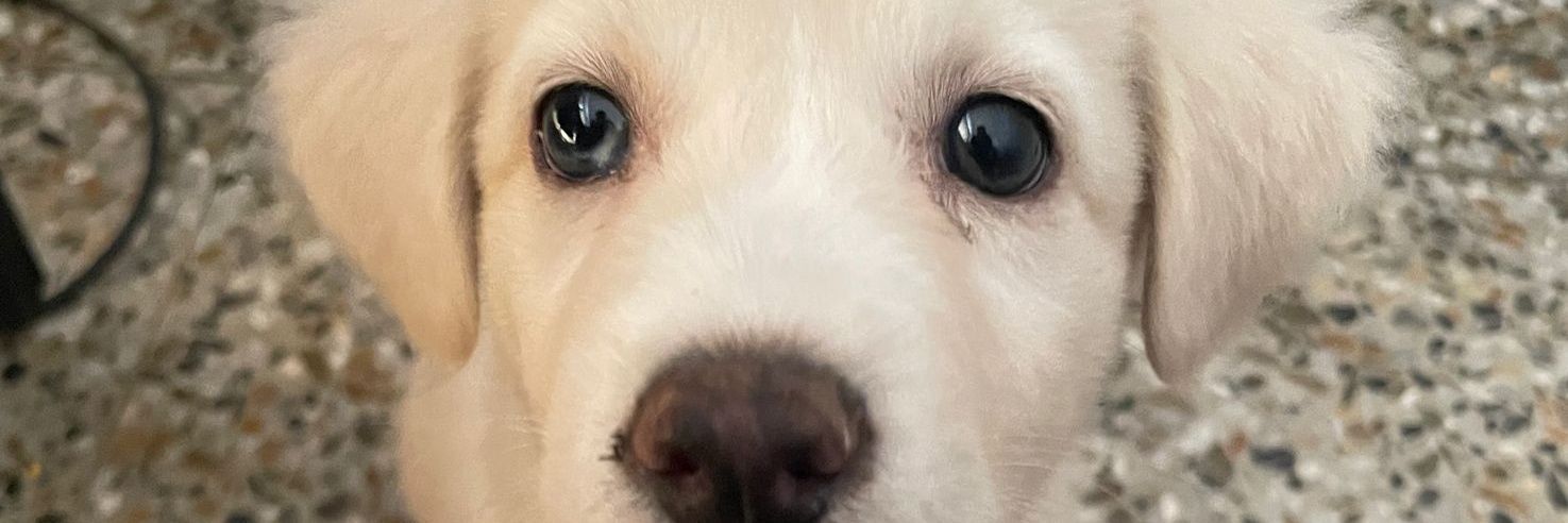 Marquezsays_'s profile banner image