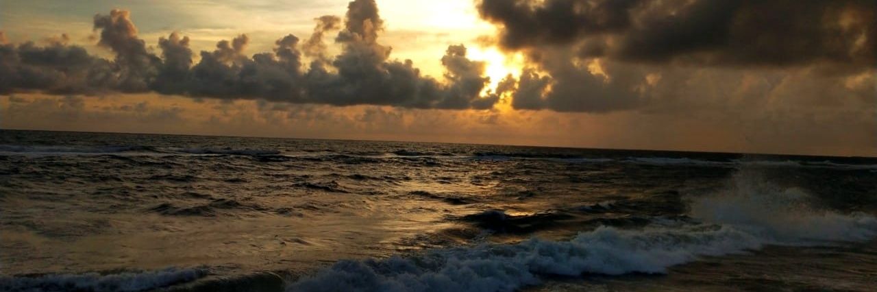 Aneeraz 🌻 banner