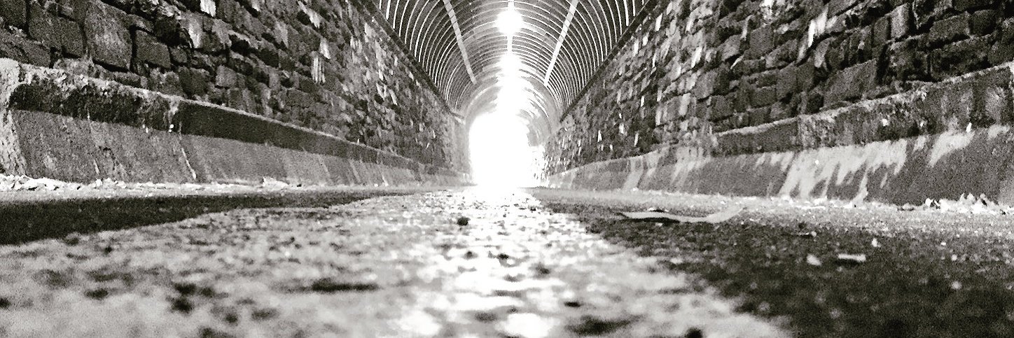 The Global Liberty Alliance banner