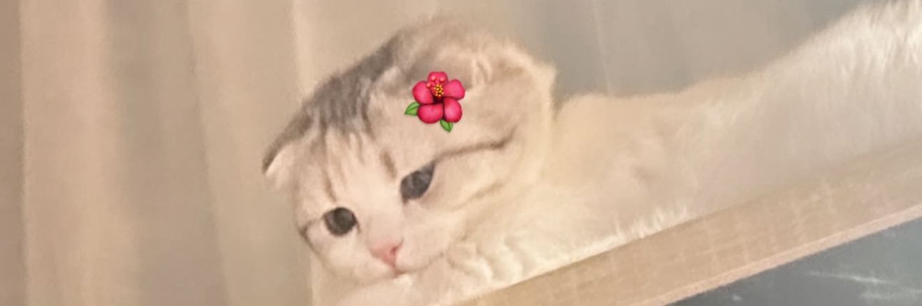 bazagon1's profile banner image