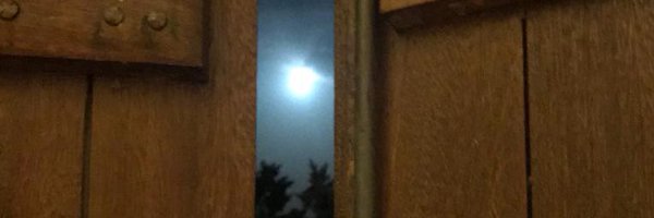 ElBaradei Profile Banner