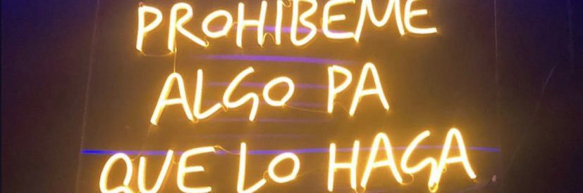 luisaabela's profile banner image