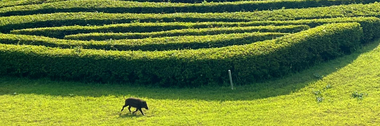 いしちゃん banner