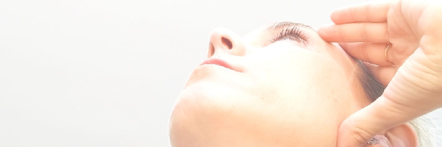 Wings-Nora banner