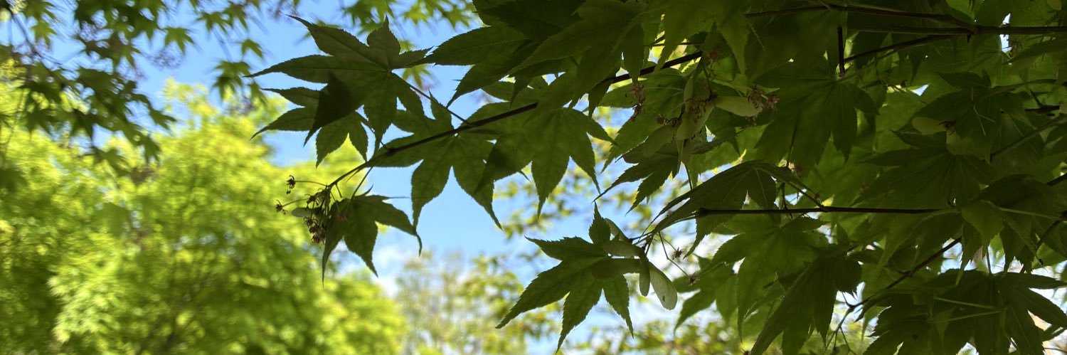 📚本📚　火・水曜日はお休みします🤲 banner