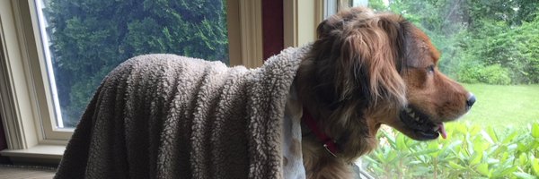 TStrong24 Profile Banner