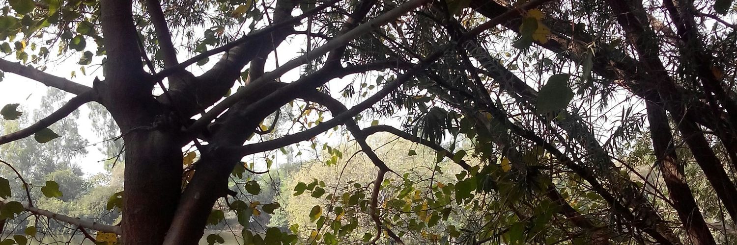 rizbeg's profile banner image
