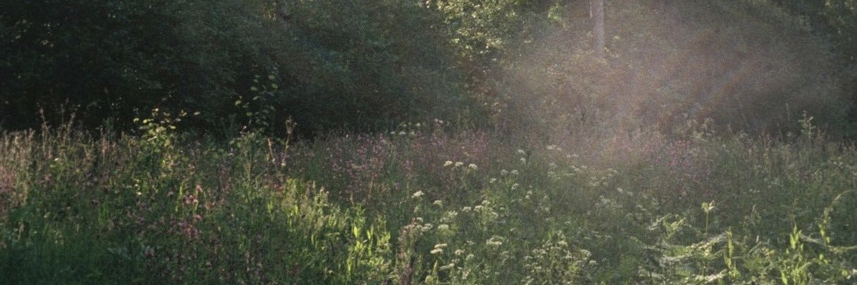 creaturesongs's profile banner image
