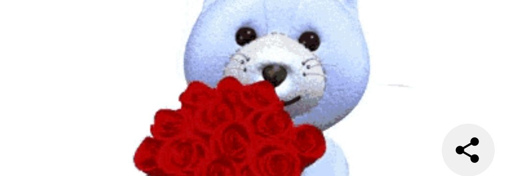 valeriarojasr's profile banner image