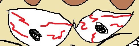 sicceroni's profile banner image