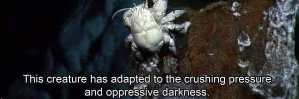 jtugg81 Profile Banner