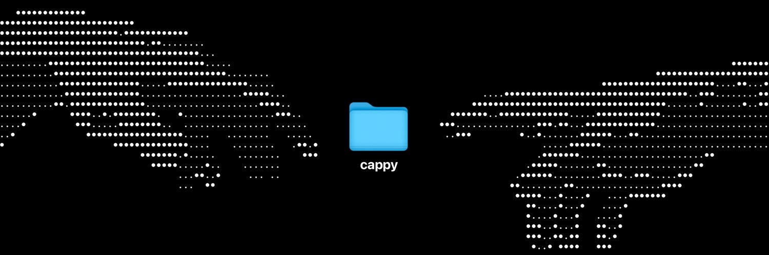 cappy | PLAYING S/V DLC ❤️💜's banner