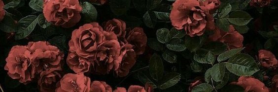 Daniela74998630's profile banner image