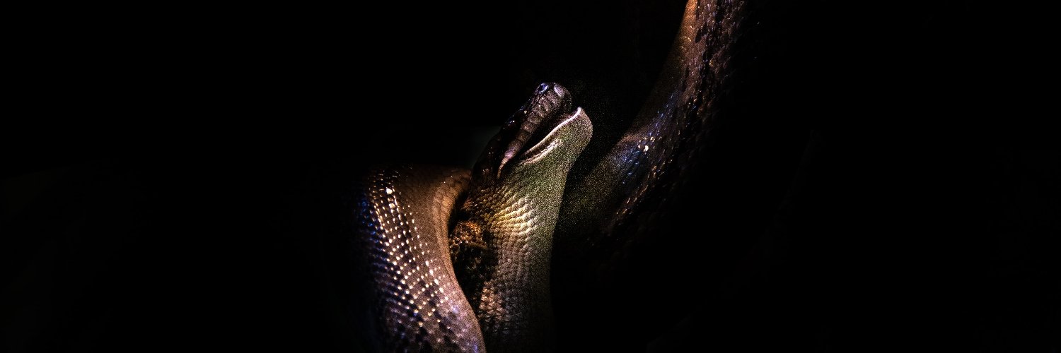 𝕸𝖊𝖓𝖙𝖍𝖔𝖑 banner